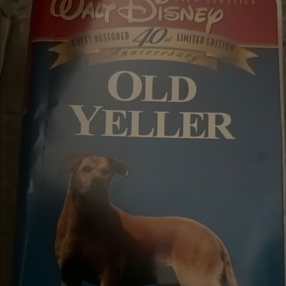 Disney Blue and Brown Dog Plush VHS